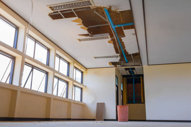 Best Carpet water damage restoration  in Limestone, IL