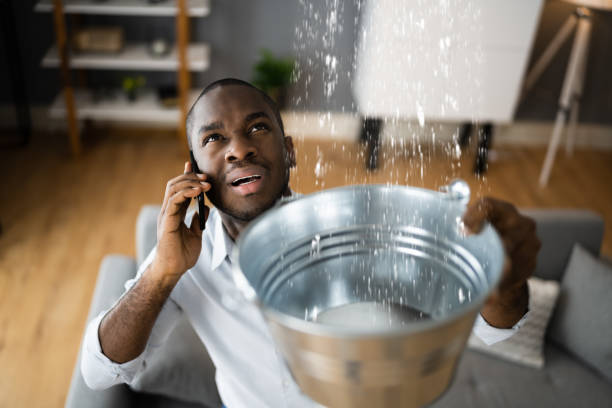 Best Emergency water damage restoration  in Limestone, IL