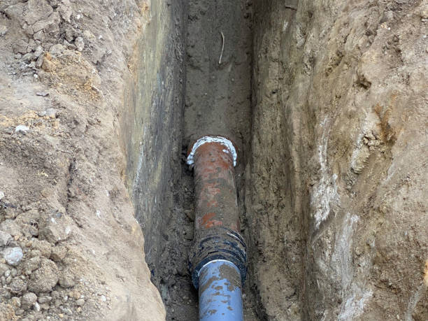 Best Water damage repair service  in Limestone, IL
