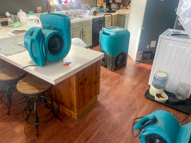 Best Water damage restoration near me  in Limestone, IL