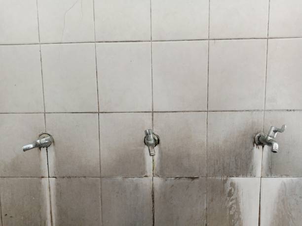 Best Water damage restoration experts  in Limestone, IL